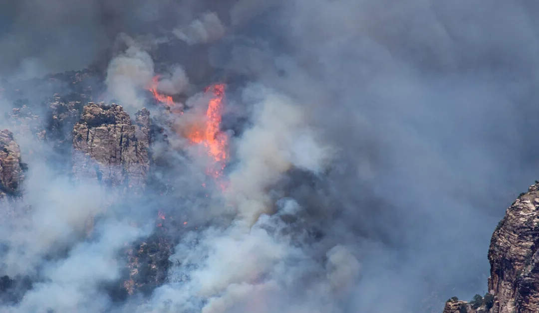 UPDATED: 2020 Is a Record-Breaking Year for Arizona Wildfires. Here’s What We Know So Far.