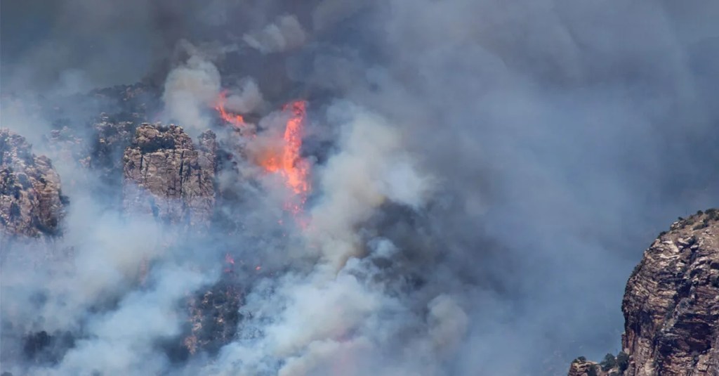 UPDATED: 2020 Is a Record-Breaking Year for Arizona Wildfires. Here’s What We Know So Far.