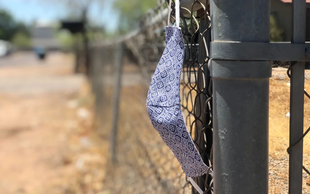 A Phoenix Health Expert Recommended Protecting the Public—and Then the Threats Started