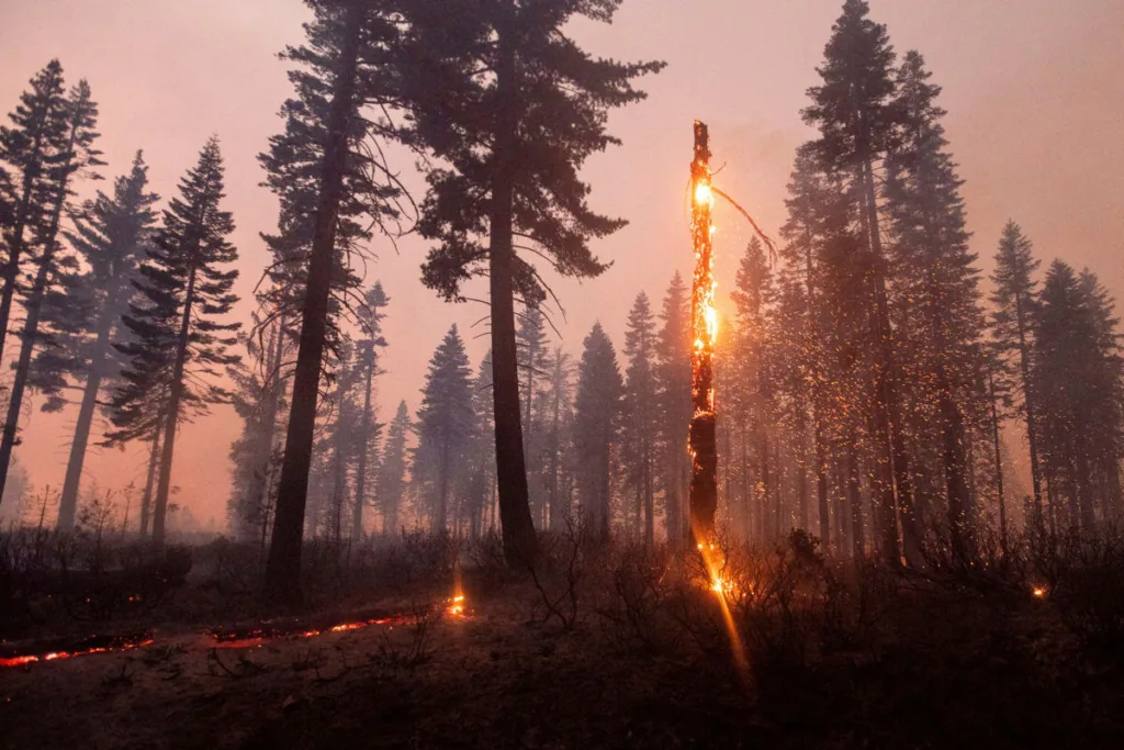 While the economic toll of 2020's wildfires is still not known, the US has experienced huge increases in billion-dollar weather disasters in the past four decades due to climate change (AP Photo/Noah Berger).