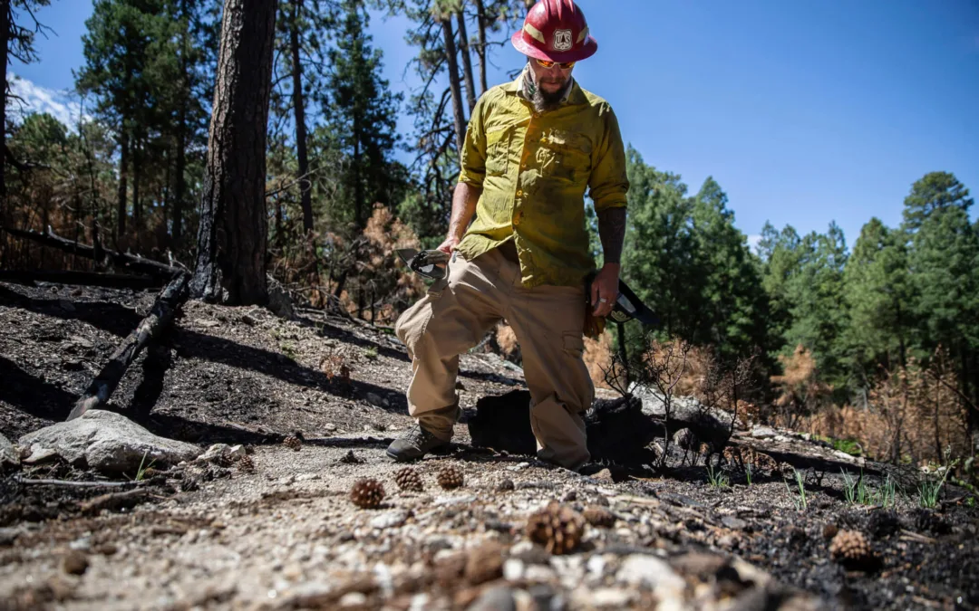 Two Fronts: How AZ Fire Fighters Battled Blazes and Coronavirus at the Same Time