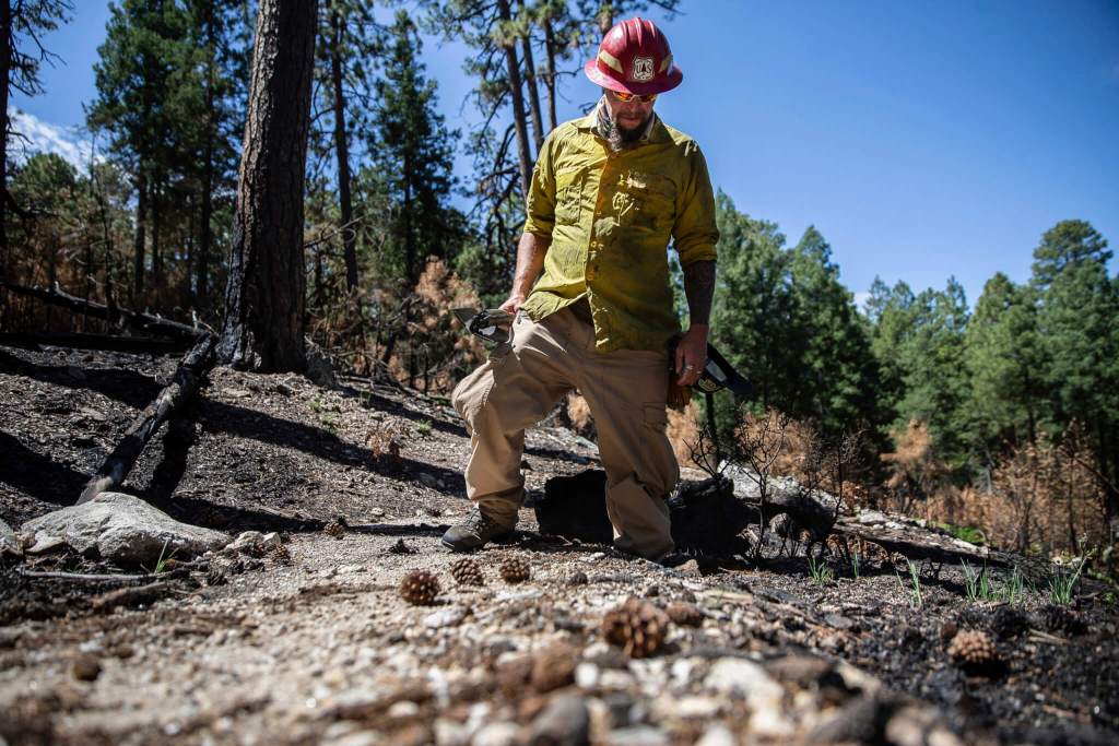 Two Fronts: How AZ Fire Fighters Battled Blazes and Coronavirus at the Same Time