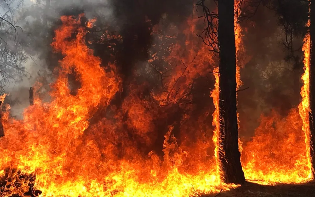 Arizona’s Wildfires—Once Confined to a Season—May Now Be Year-round