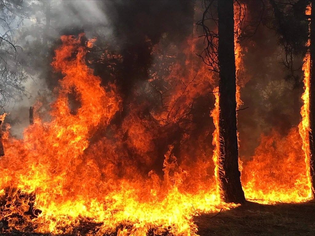 Arizona’s Wildfires—Once Confined to a Season—May Now Be Year-round