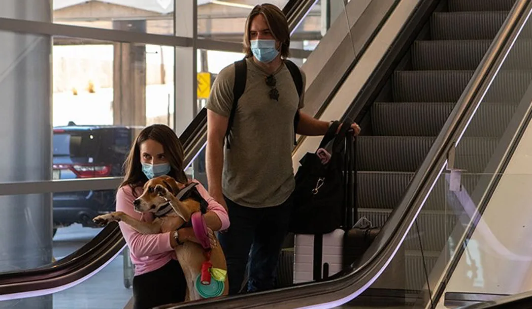 Rapid COVID Testing Coming to Arizona Airports as Snowbirds and Holidays Arrive