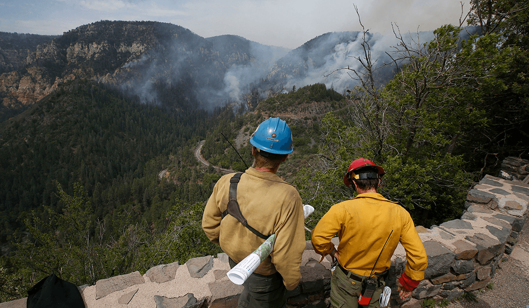 Biden Administration Launches New Effort to Fight Arizona Wildfires