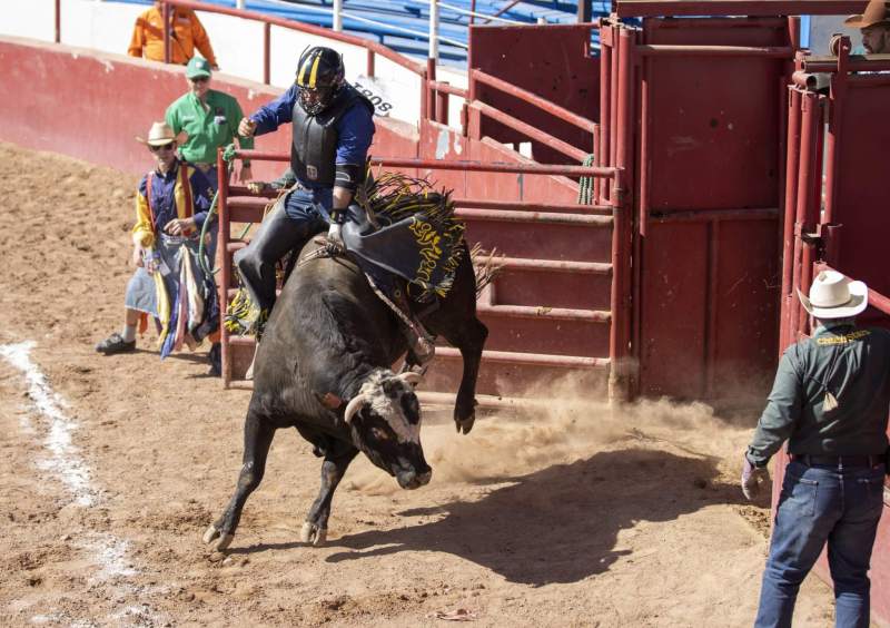 gay rodeo arizona