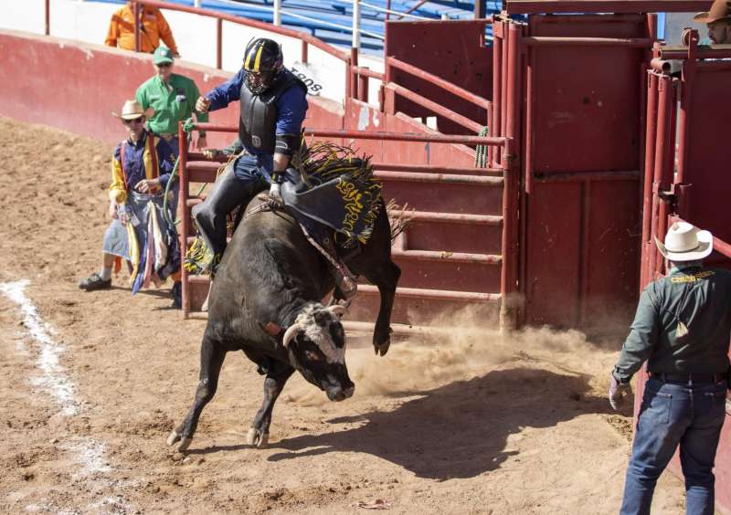 gay rodeo arizona