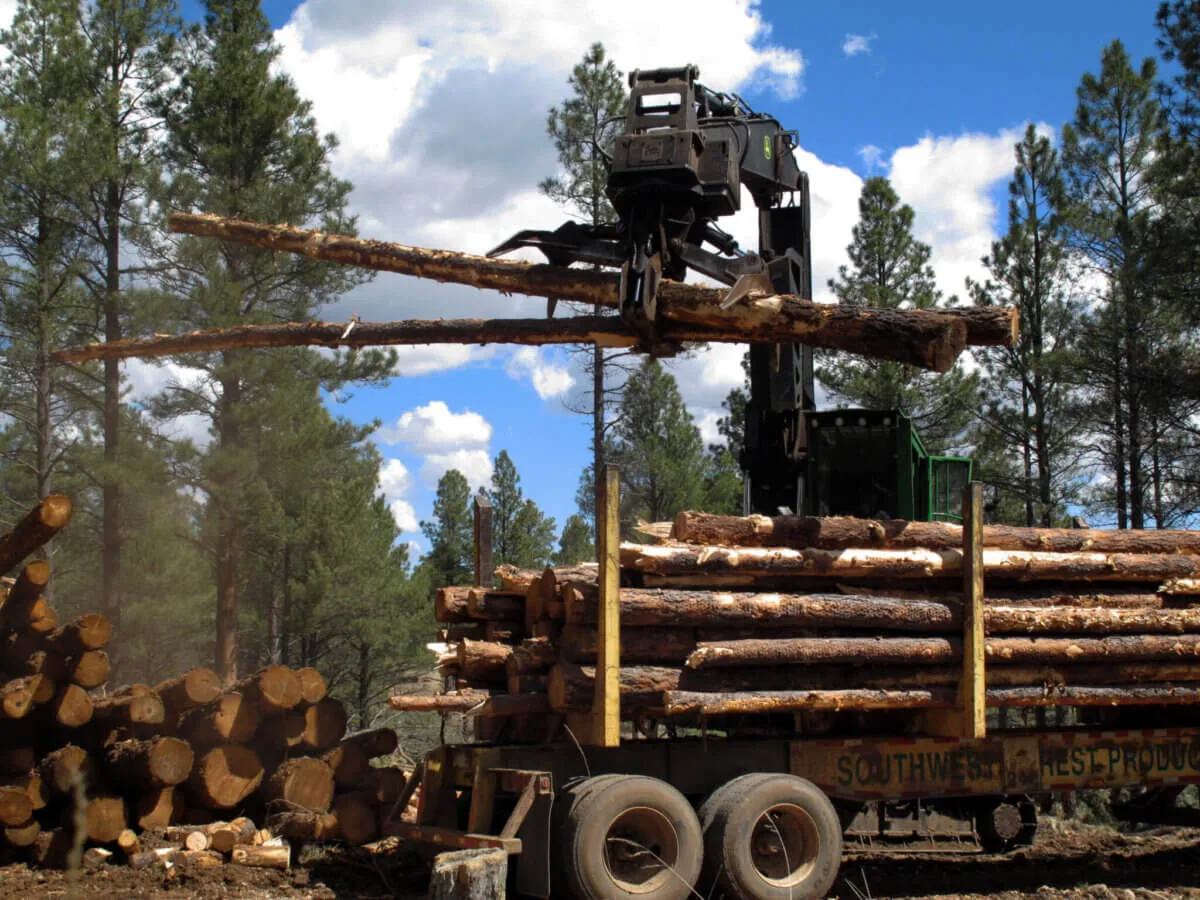 a machine stacking logs in a forest
