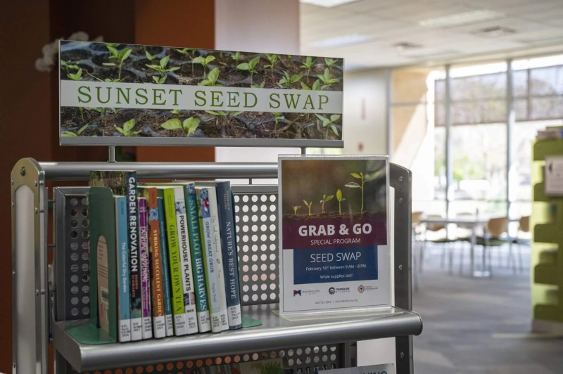 arizona library reopens