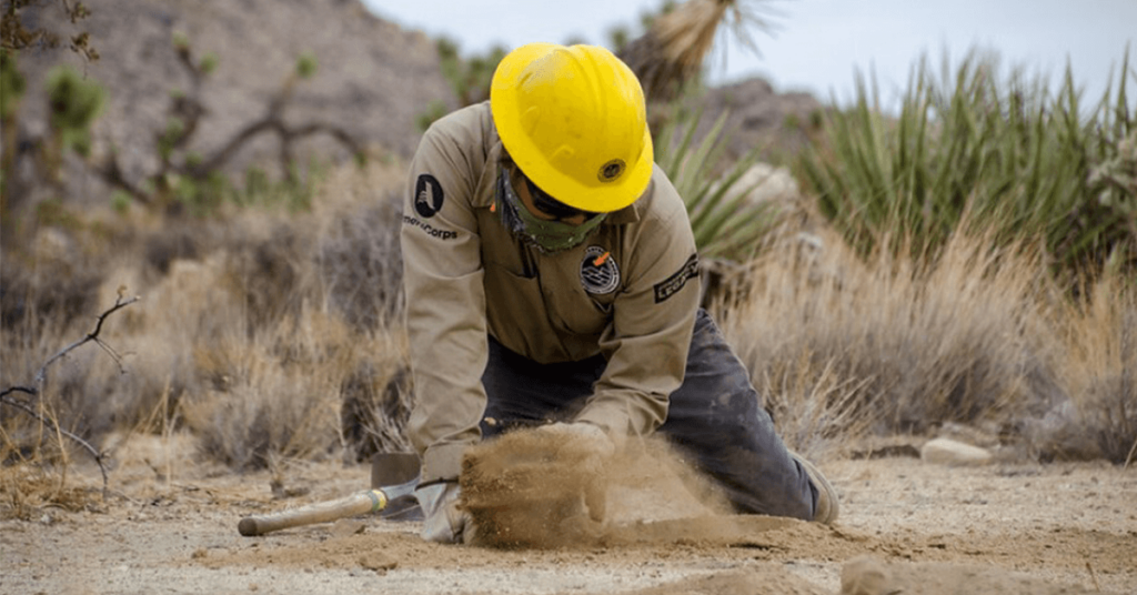 nps conservation projects x