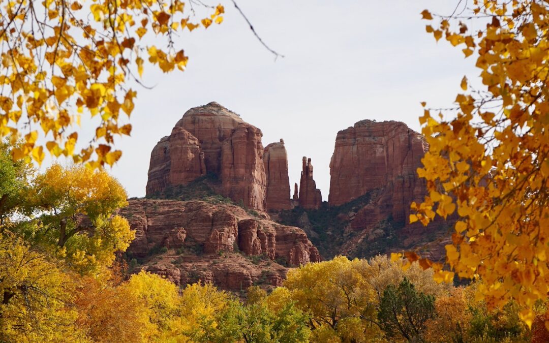 Fall does exist in Arizona. Here’s where to see the leaves change colors