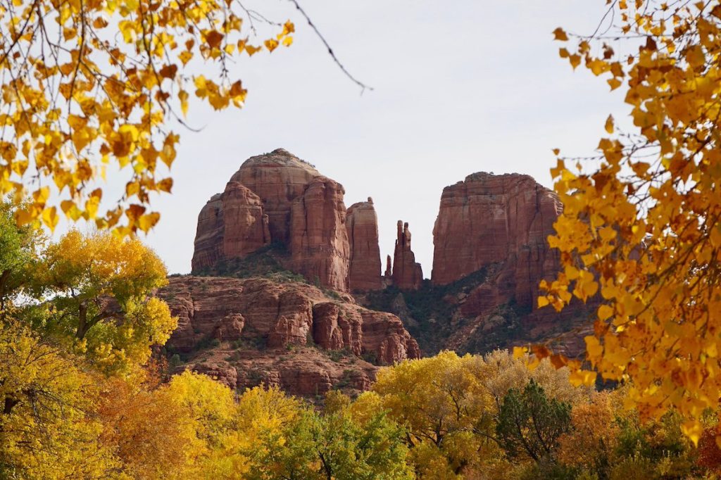 Fall does exist in Arizona. Here’s where to see the leaves change colors