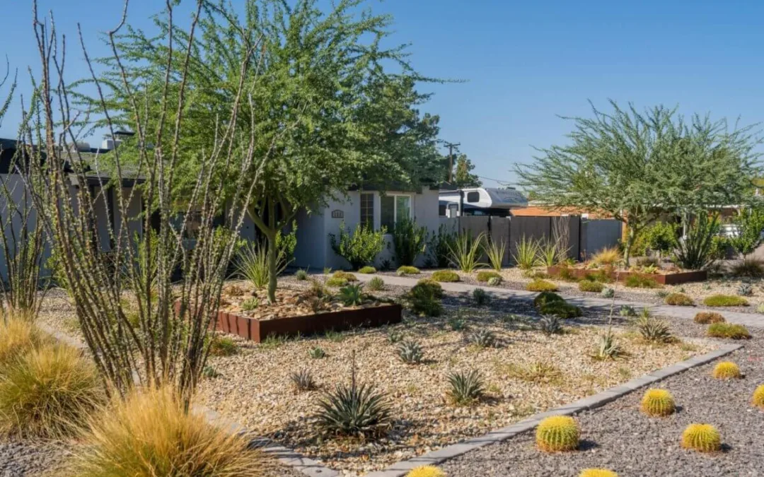 As the Drought Grinds on, Valley Homeowners Take Advantage of Xeriscape Incentives
