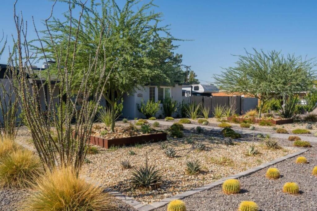 As the Drought Grinds on, Valley Homeowners Take Advantage of Xeriscape Incentives