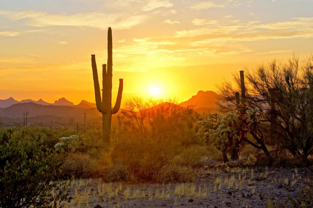 How Arizona Compares to the Most Extreme Temperatures Recorded in the US