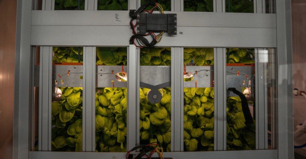 Vertical Farm in Avondale Promotes Sustainability, Technology, Water Conservation