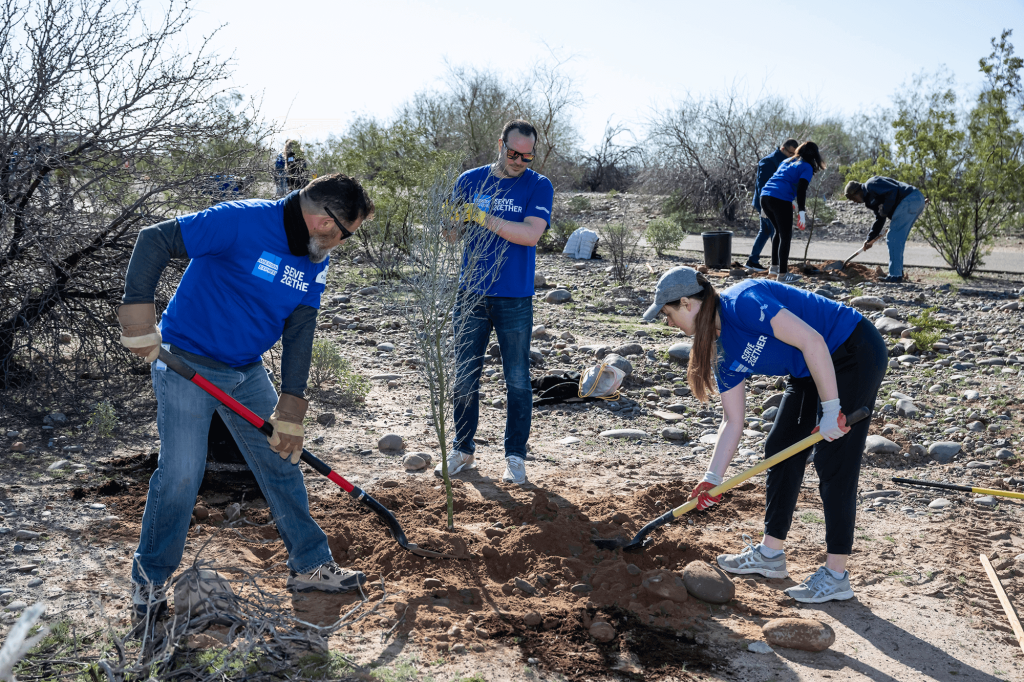 Here’s How You Can Combat the Climate Crisis in Your Own Backyard
