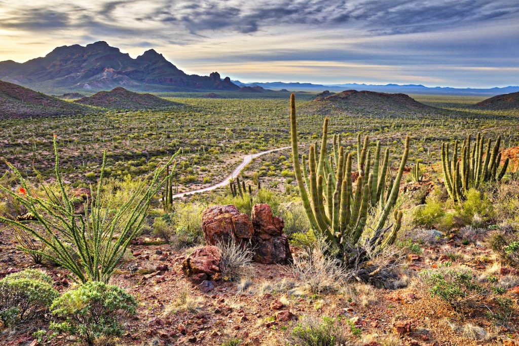 Arizona is more than the Grand Canyon. Here are 5 other national park sites to visit