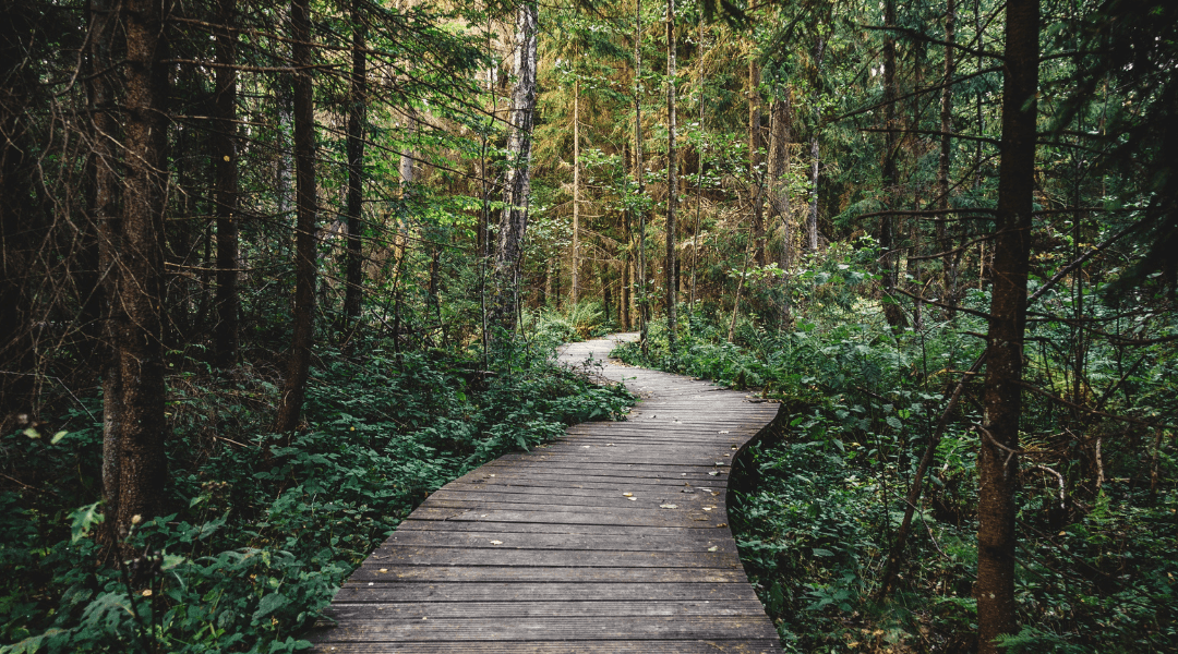 Here’s a List of Hidden Wonders in Each State. Can You Guess Arizona’s?