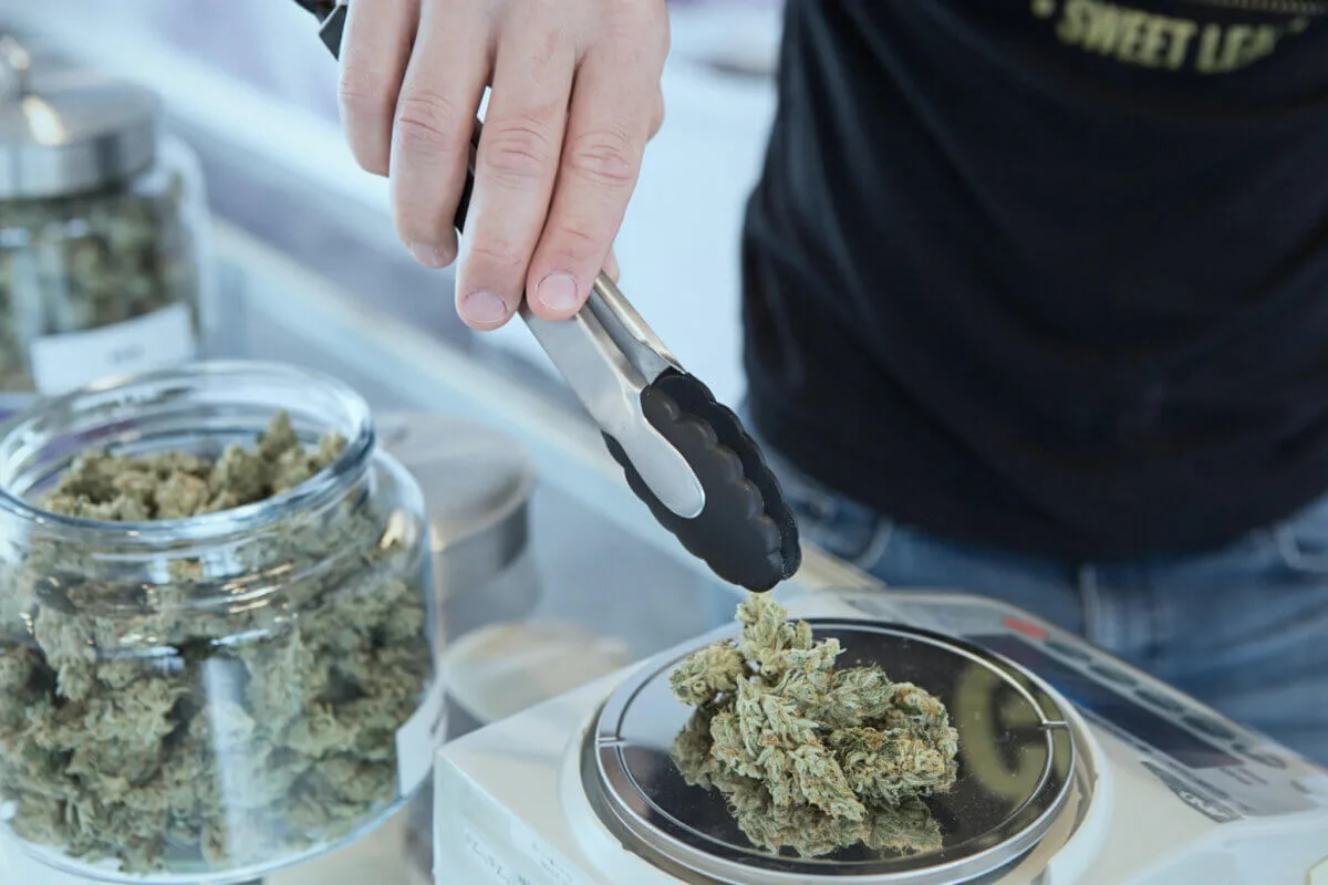 Live in East Valley? Here Are 7 Marijuana Dispensaries Near You.