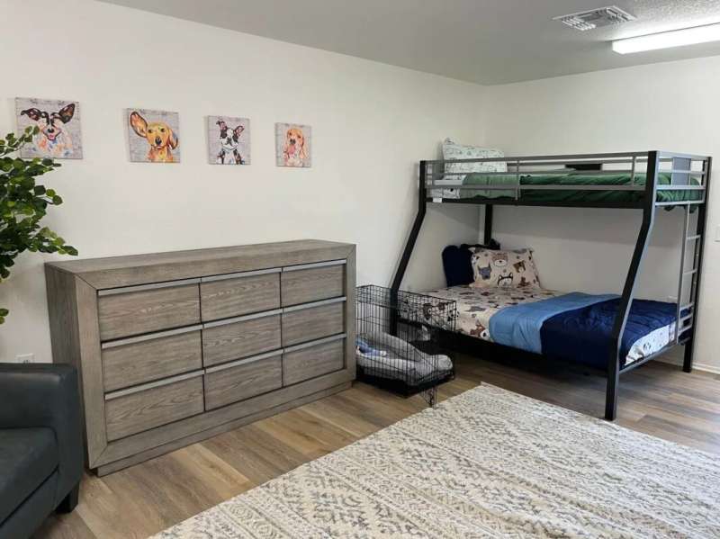 Phoenix Domestic Violence Shelter Now Allows Survivors to Bring Pets