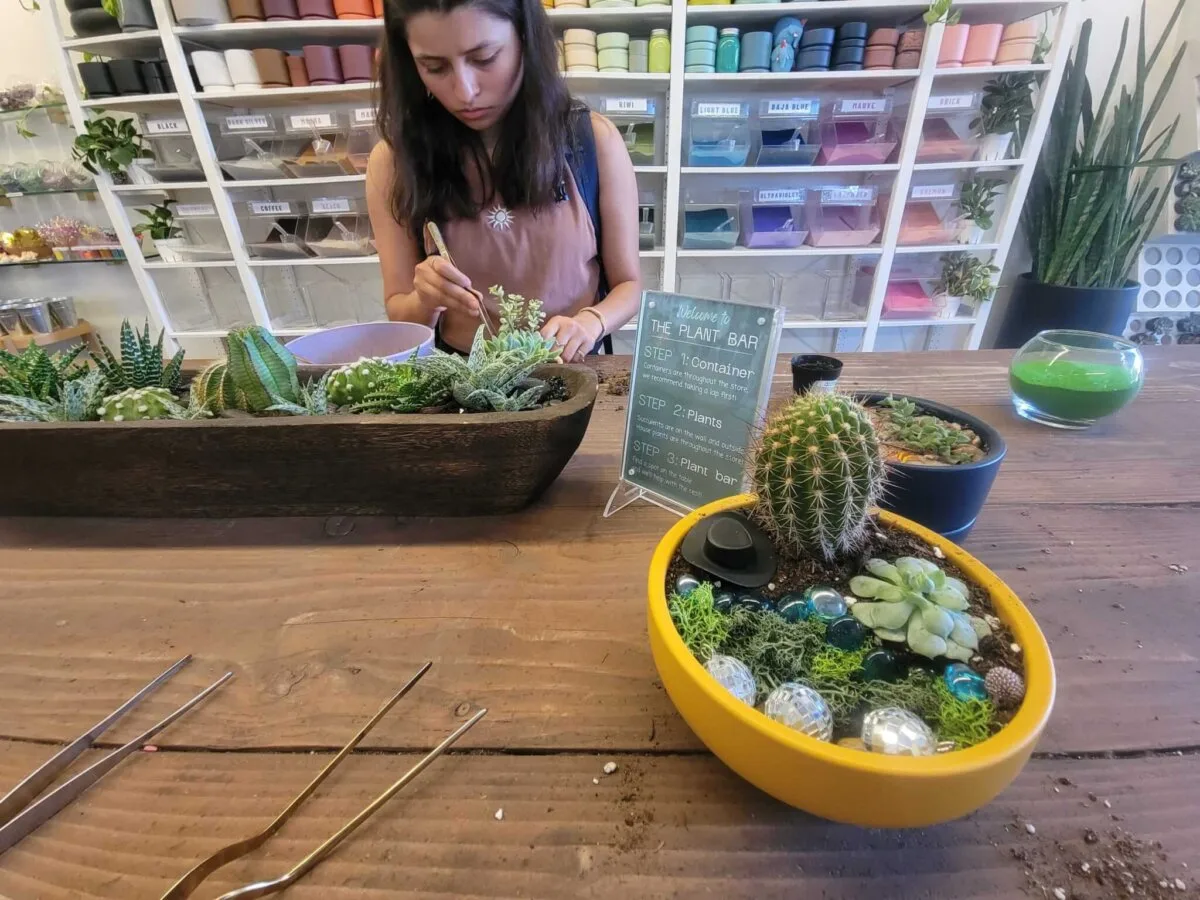 Jade & Clover: Check Out This Blooming Terrarium Bar Experience in Phoenix