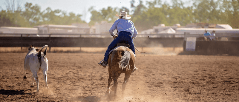 Meet 6 Arizonans Who Wrangle Broncos, Rescue Coyotes, and Generally Go Wild