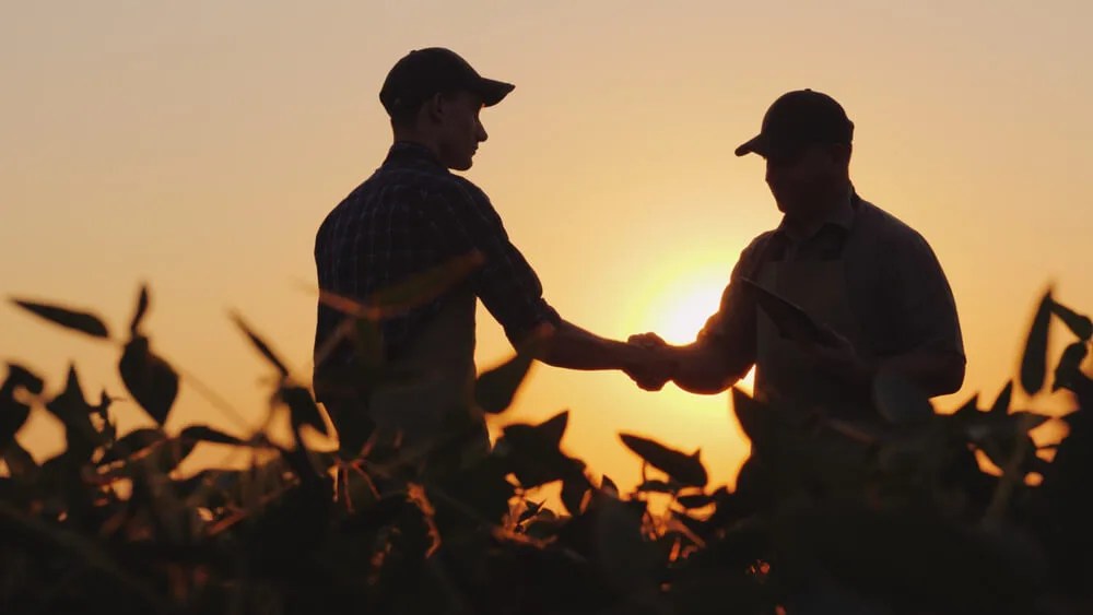 Here’s What Rural Leaders Say Their Communities Need