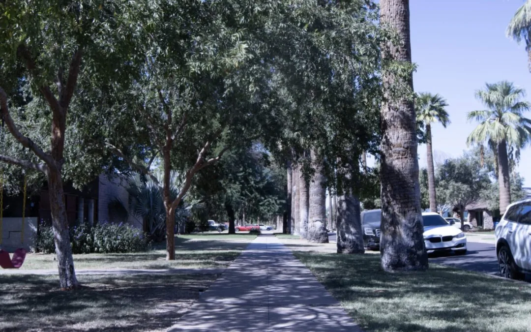 Phoenix funding trees and shade structures for underserved communities