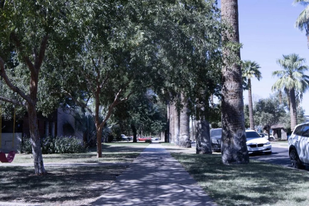 Phoenix funding trees and shade structures for underserved communities