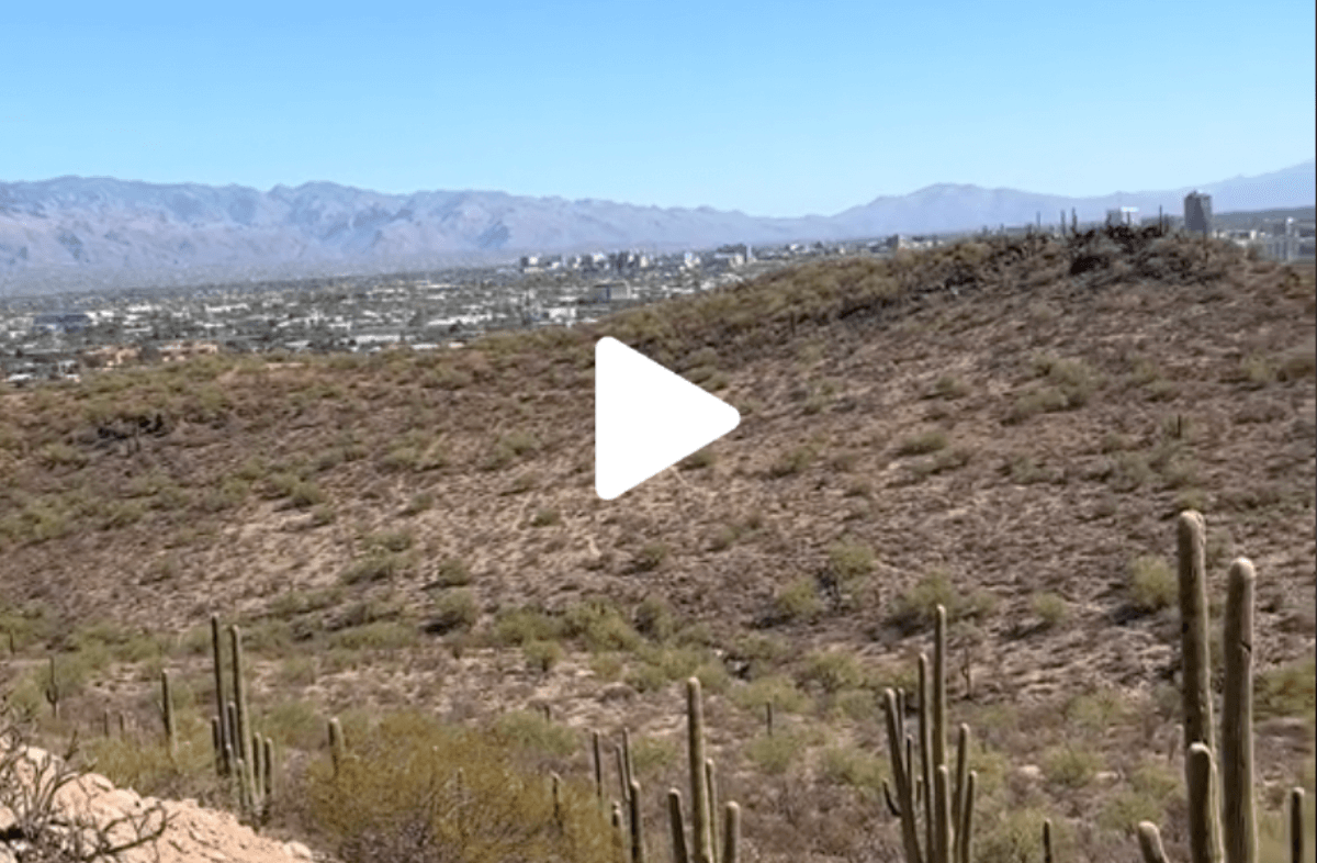VIDEO: This is your sign to visit Tumamoc Hill VIDEO: This is your sign to visit Tumamoc Hill