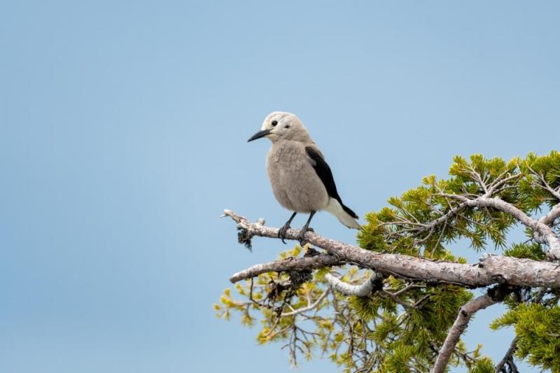 8 Top Spots for Birdwatchers in the Arizona Fall and Winter