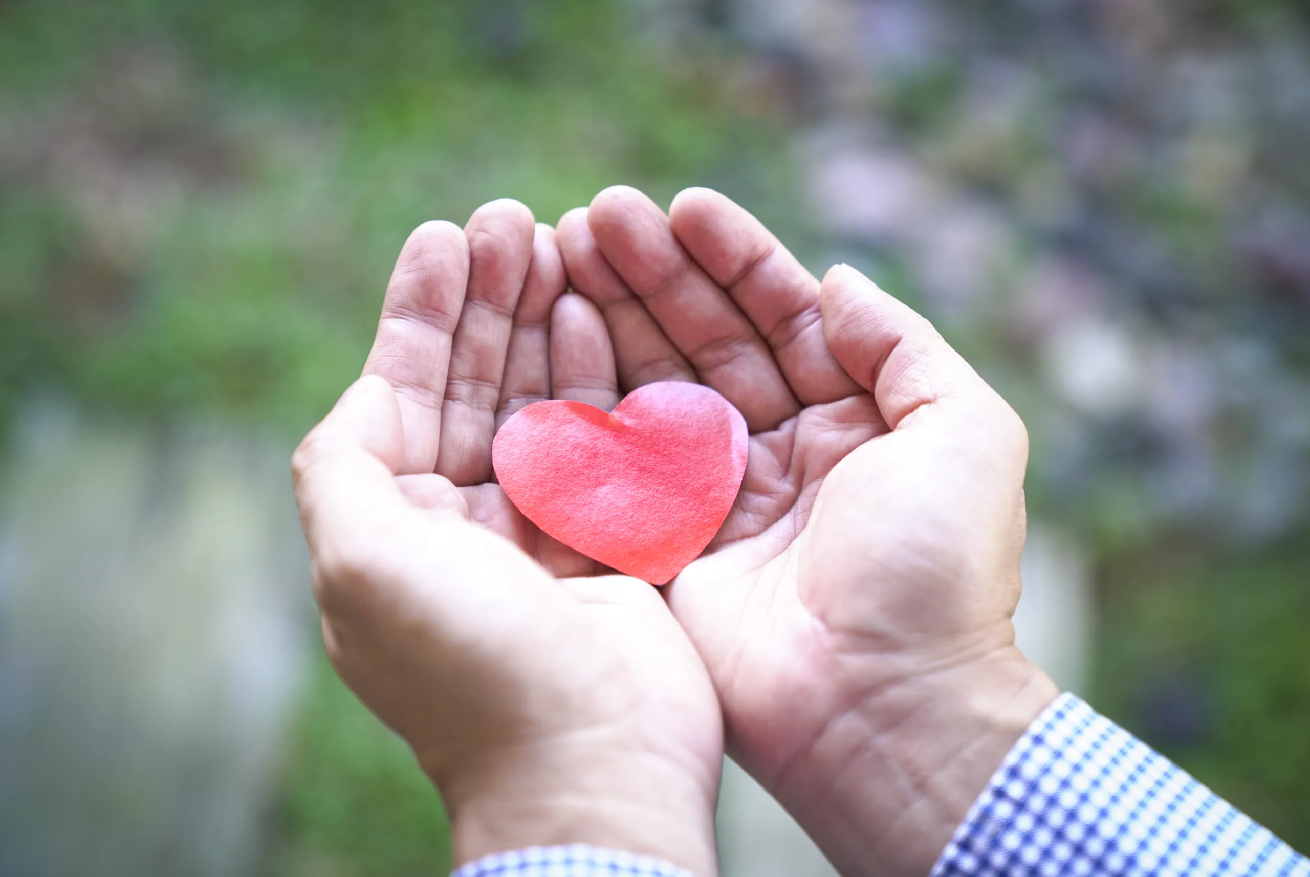 OPINION: End-of-year philanthropy helps transform Arizona for years to come OPINION: End-of-year philanthropy helps transform Arizona for years to come