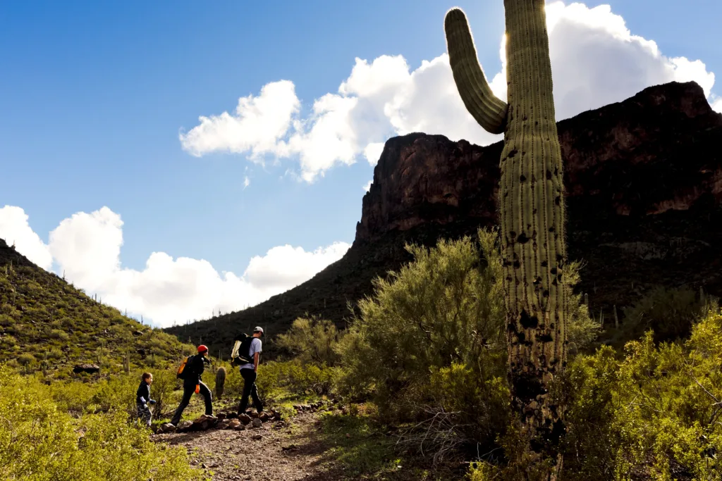 6 Perfect Winter Hikes To Take in Arizona