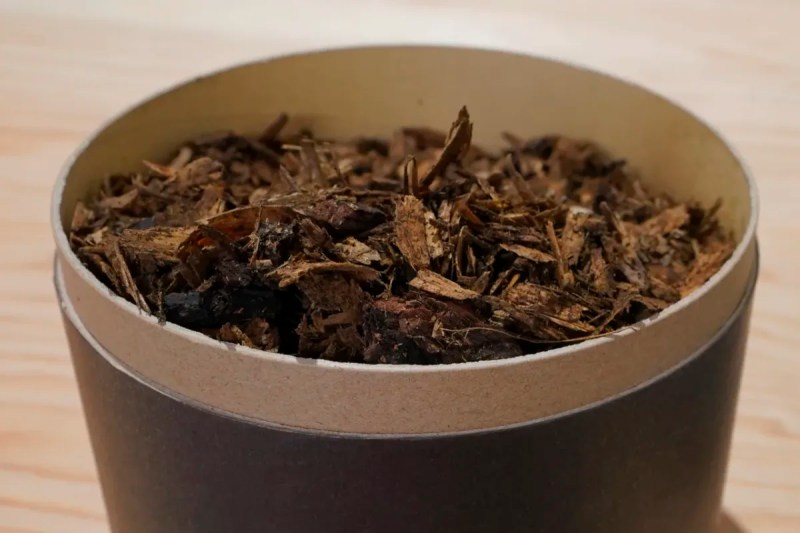 Arizona Legislature introduces bill to legalize new burial method