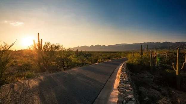 Visit Arizona’s Petrified Forest and Saguaro National Park like a local