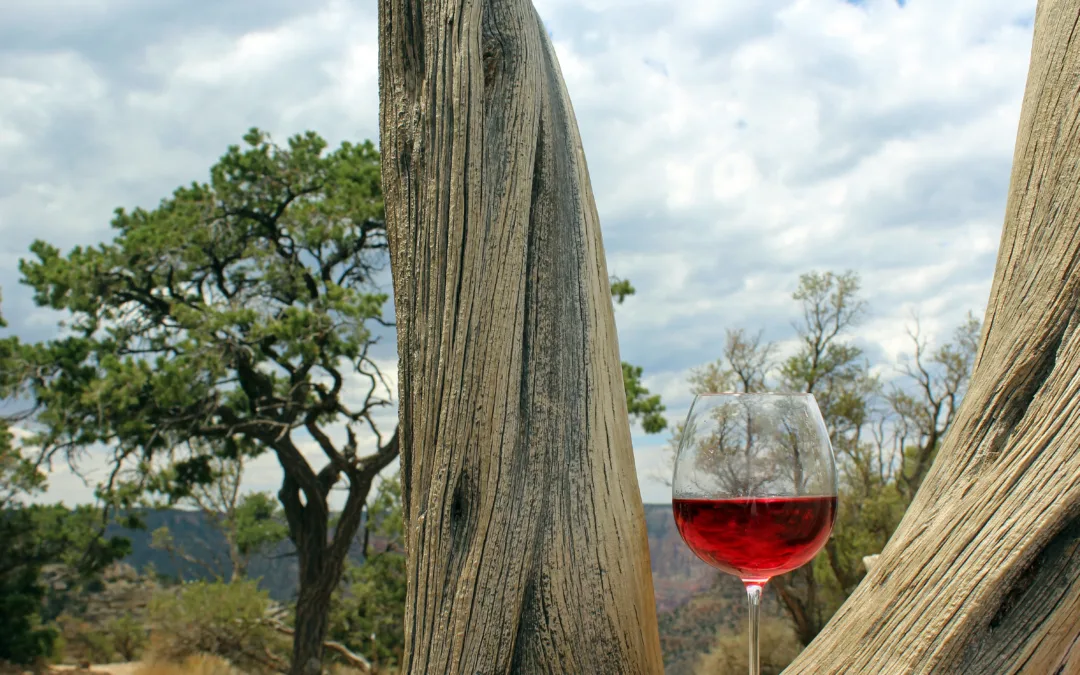 Sip and savor: 5 day trips for wine tasting in Arizona