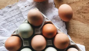 Where To Buy Farm-Fresh Eggs In Tucson