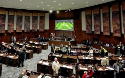How can I make my voice heard at the Arizona Legislature?