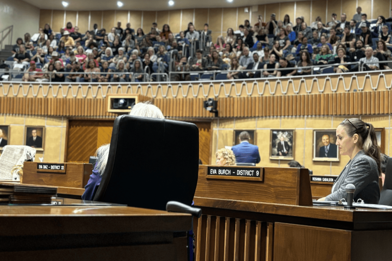 abortion legislature