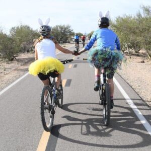 From hieroglyphics to hot dogs: 13 Arizona trails for every wanderer