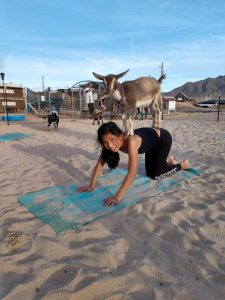 Baaa-Lance And Bliss: Arizona’s 4 Best Goat Yoga Experiences