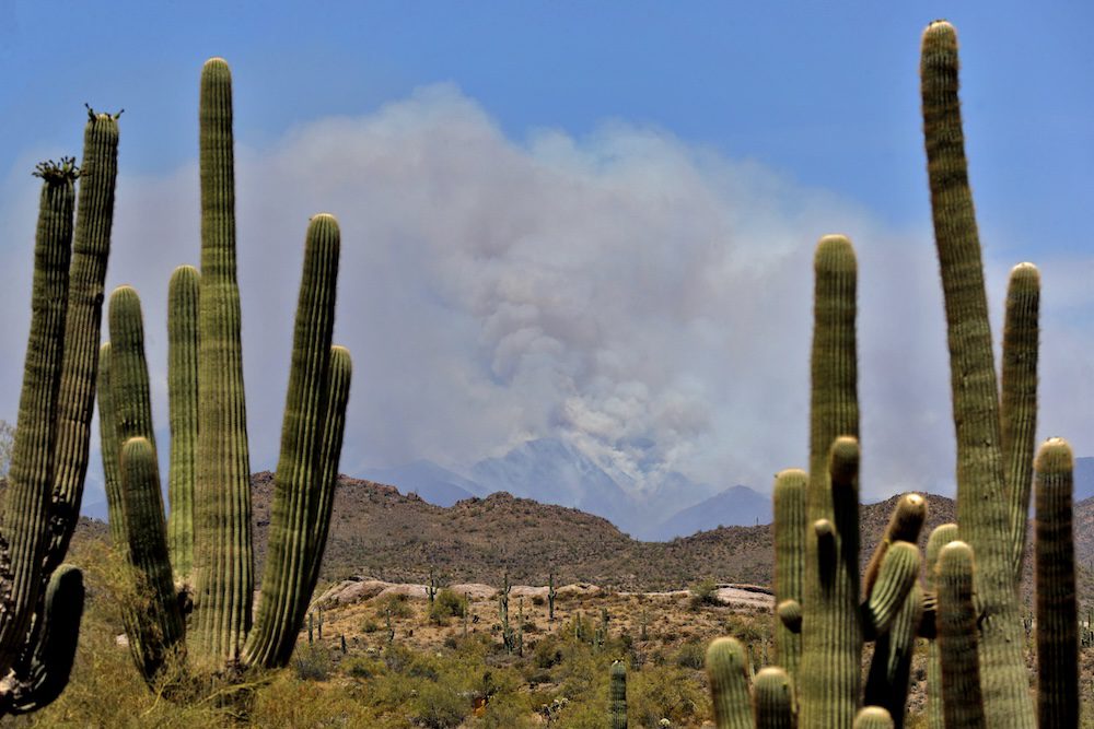 Fast-growing wildfire has shut down a portion of the Tonto National Forest in Arizona