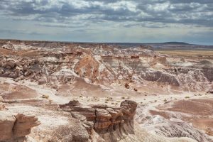 A view of Petrified Forest National Park.