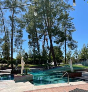After visiting Chateau de Vie in Chandler, I have some major thoughts