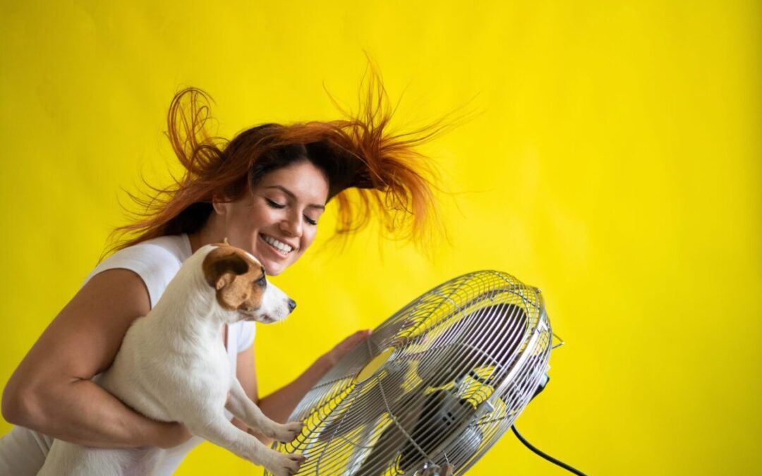 Beat the Arizona heat: How to find cooling centers near you