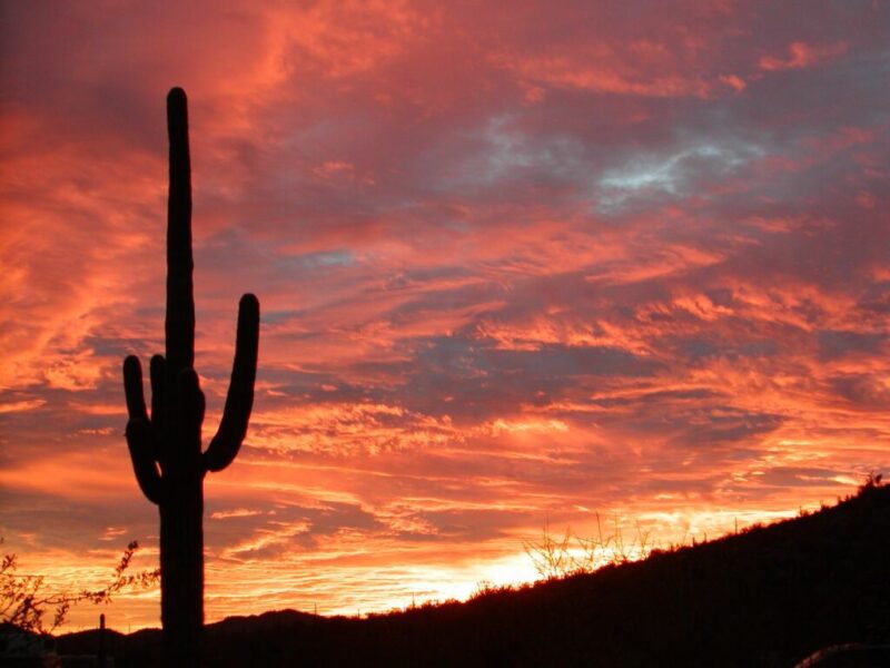 Your Guide to Arizona’s 6 Certified Dark Sky Parks