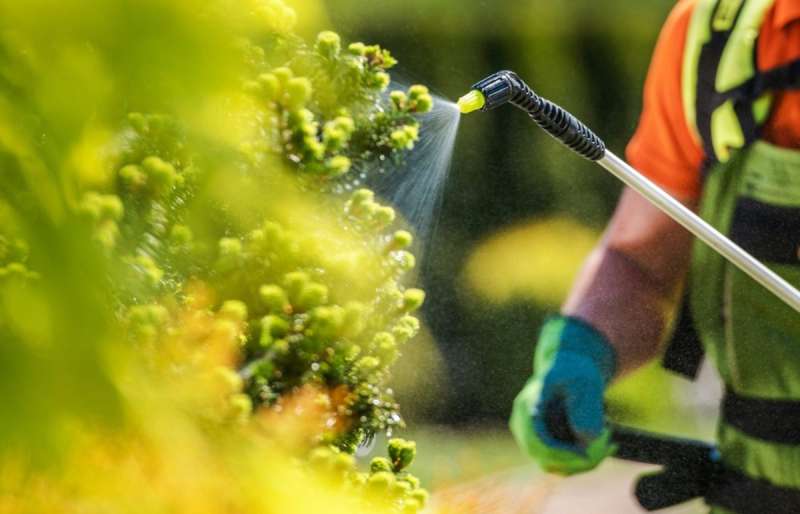 Someone spraying pesticide on crops.