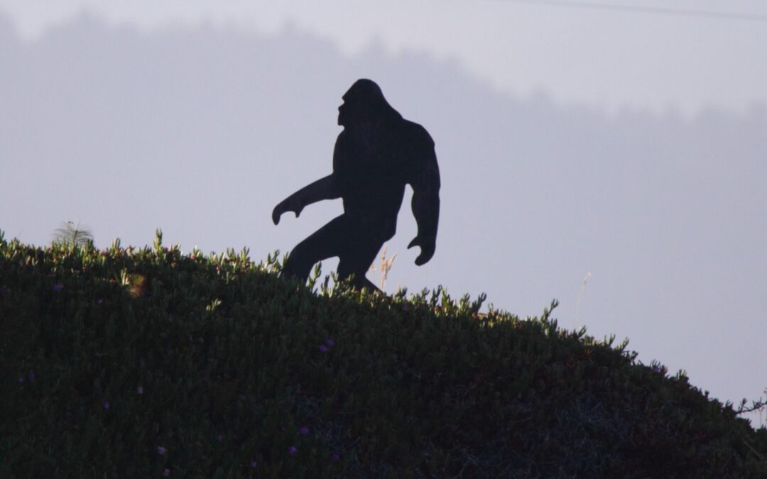 Stargazing, AI, and Sasquatch: The Flagstaff Festival of Science returns